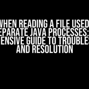 Error when reading a file used by two separate Java processes: A Comprehensive Guide to Troubleshooting and Resolution